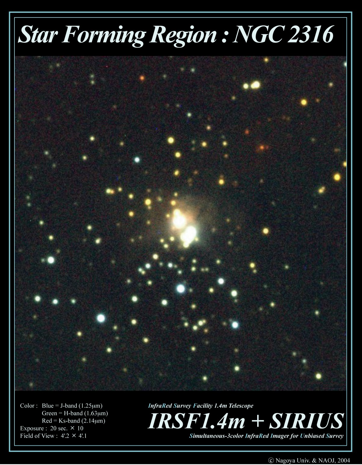 Star Forming Region : NGC 2316